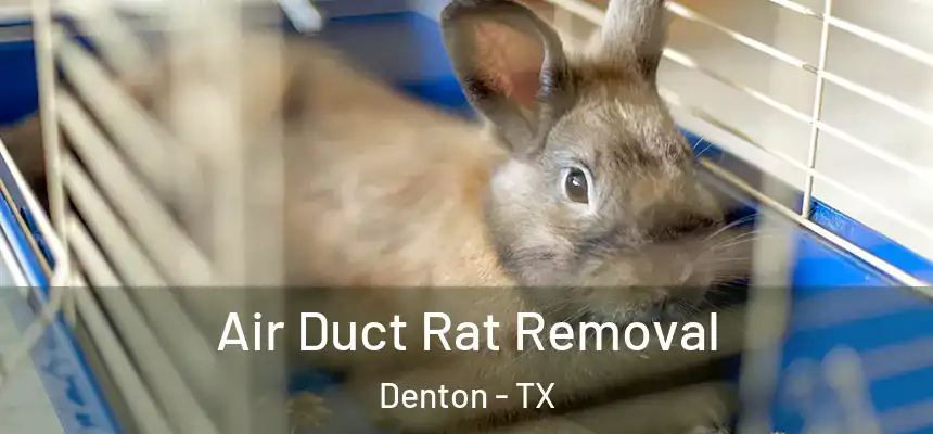 Air Duct Rat Removal Denton - TX