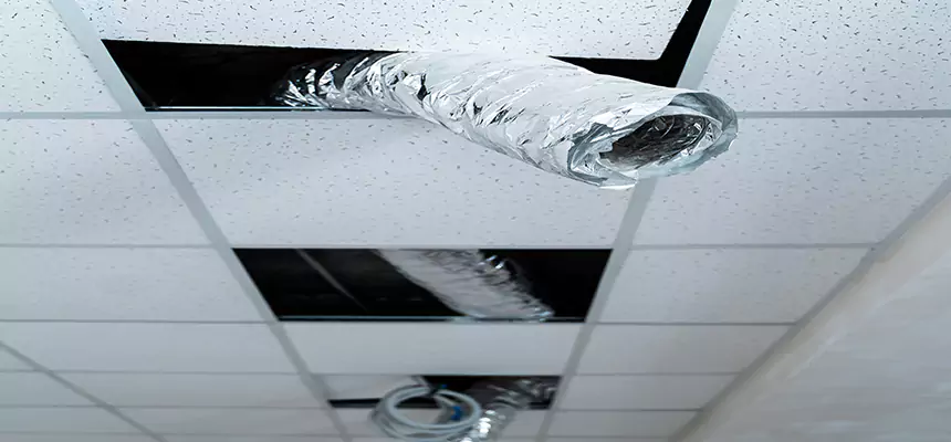 Our Air Duct Pet Hair Removal Services in Denton, TX