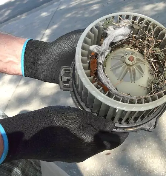 About Air Duct Rat Removal in Denton, TX